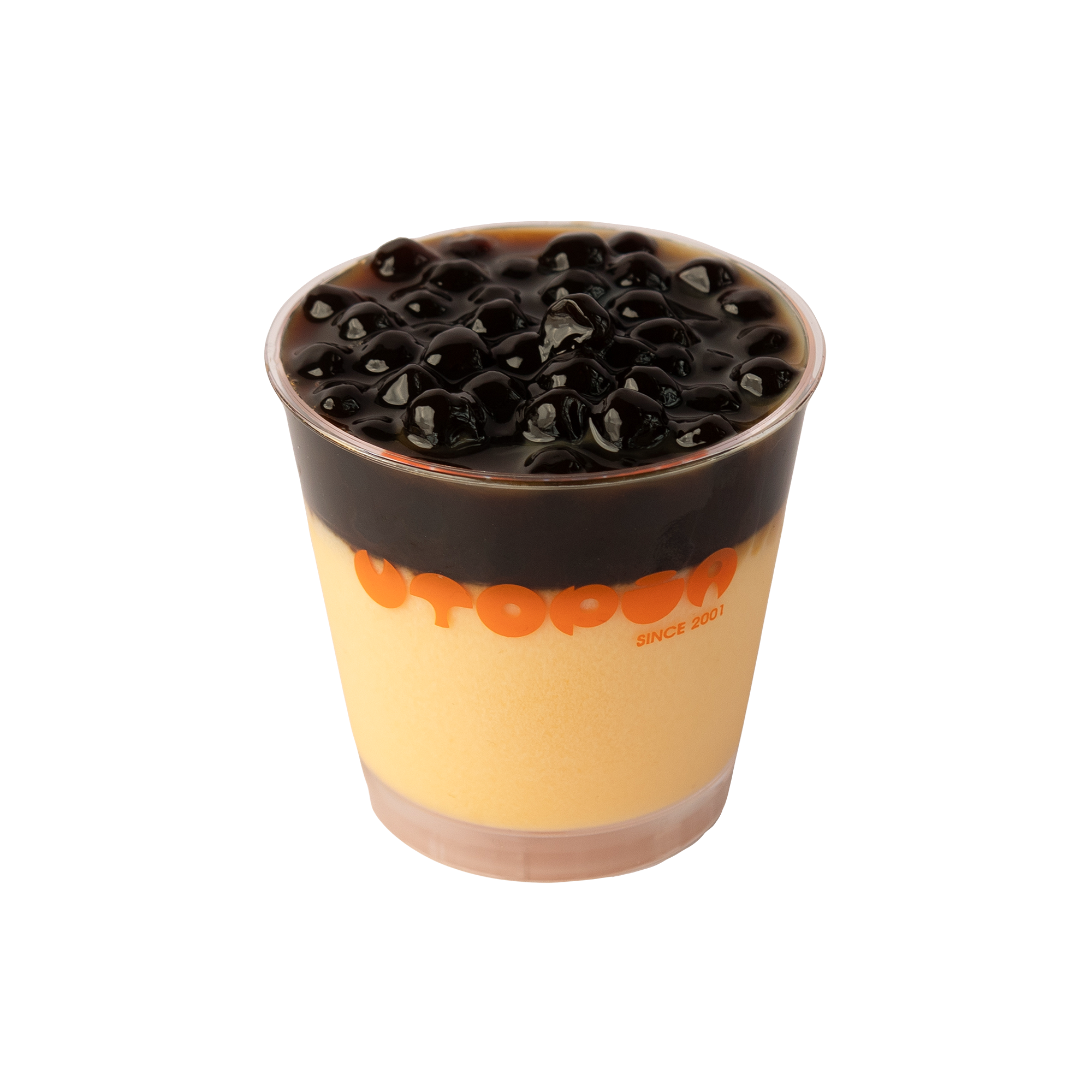Brown Sugar Pudding